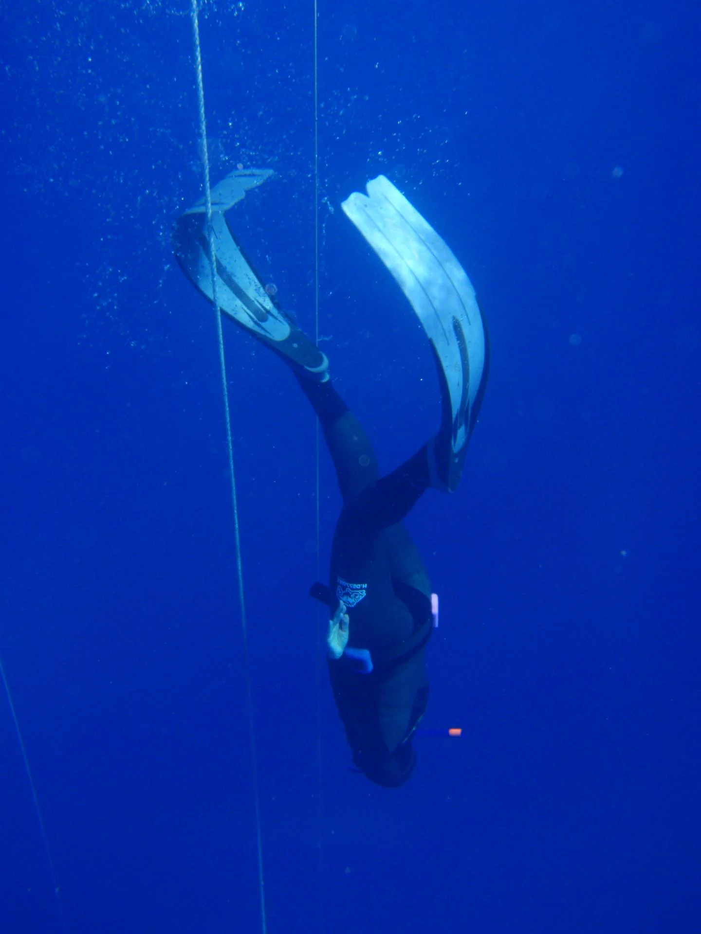 Laurence en apnée avec les dauphins à Sataya