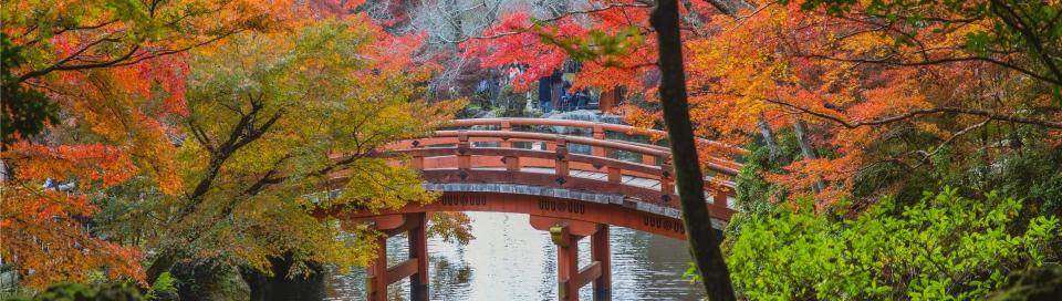 premier degré de reiki Pont japonais